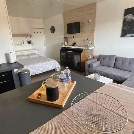 Studio Cocooning Hauteur De Saint-Raphael #2 Zewnętrze zdjęcie