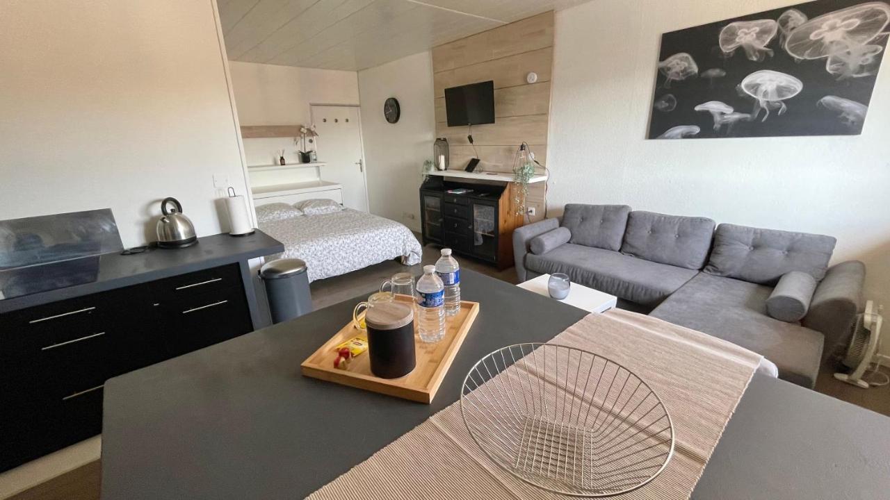 Studio Cocooning Hauteur De Saint-Raphael #2 Zewnętrze zdjęcie